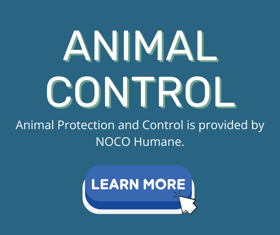 Animal Control and Protection 4.11.24