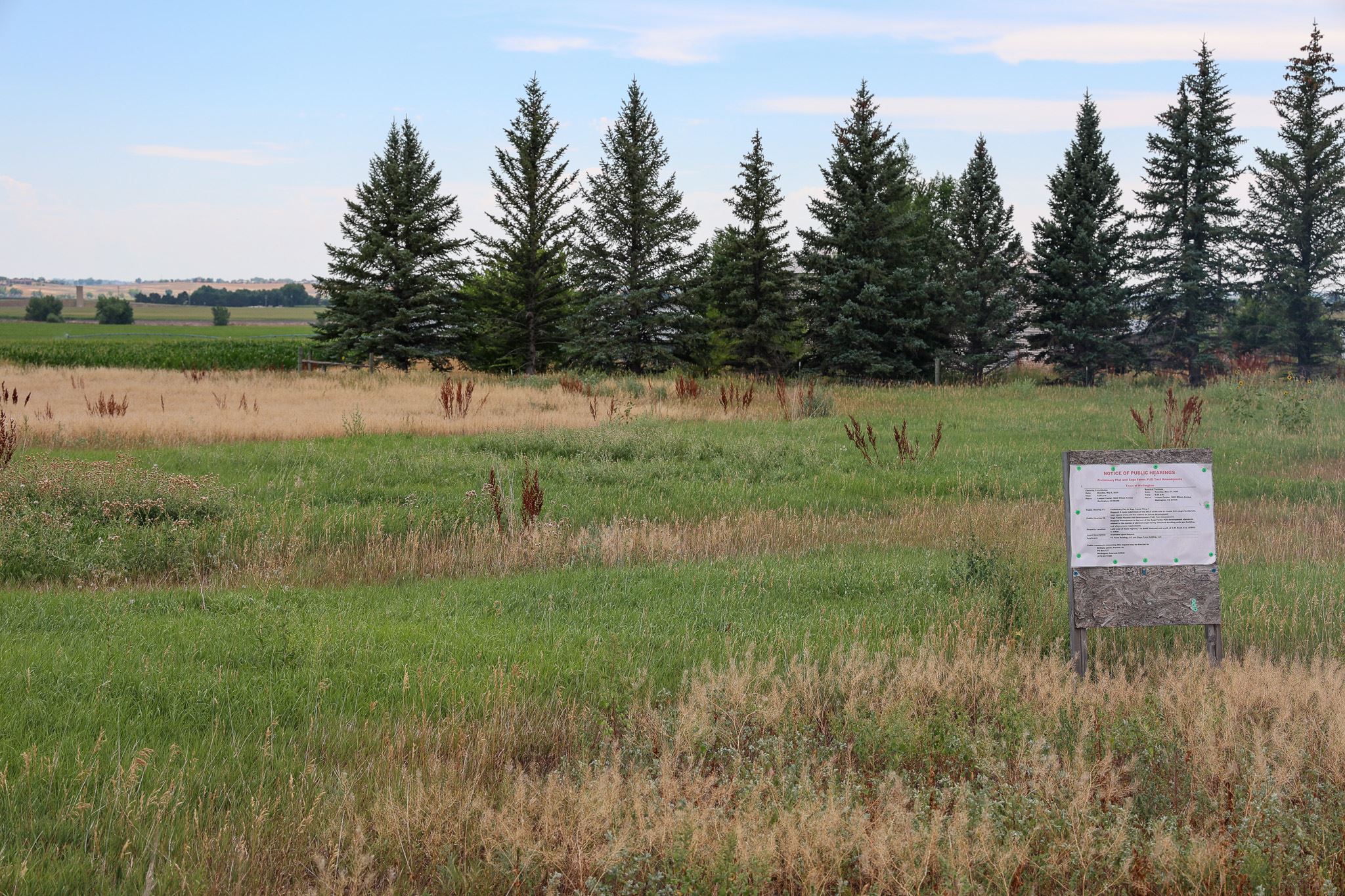 The site of the Sage Farms development at Colorado Highway 1 and George W. Bush Ave. in Wellington.